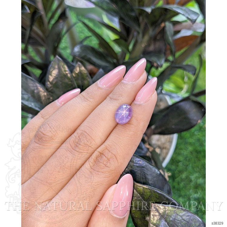 6.53 Ct. Bluish Purple Star Sapphire from Ceylon (Sri Lanka)