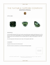 0.98 Ct. Bluish Green Sapphire from Ceylon (Sri Lanka) Appraisal