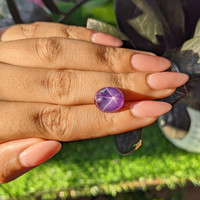 9.88 Ct. Purple Star Sapphire from Ceylon (Sri Lanka) Life Style