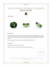 0.92 Ct. Bluish Green Sapphire from Ceylon (Sri Lanka) Appraisal