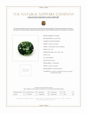 0.92 Ct. Bluish Green Sapphire from Ceylon (Sri Lanka) Scan Report