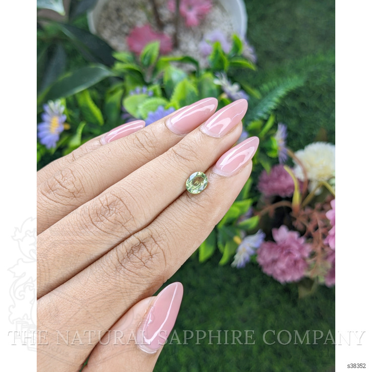 1.13 Ct. Yellowish Green Sapphire from Tanzania