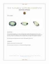 1.01 Ct. Green Sapphire from Tanzania Appraisal
