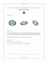 1.19 Ct. Green Sapphire from Tanzania Appraisal