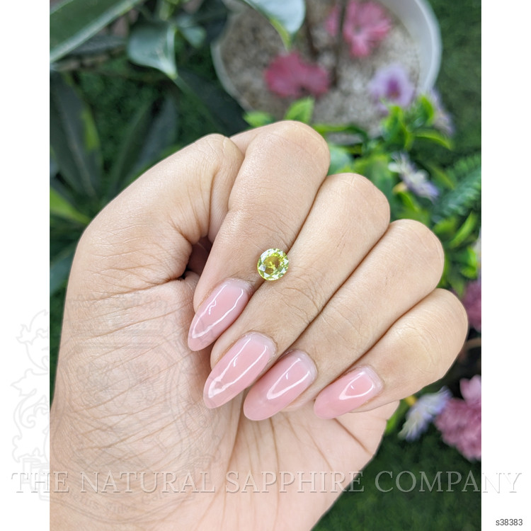 0.96 Ct. Greenish Yellow Sapphire from Tanzania