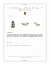 Jewelry Appraisal