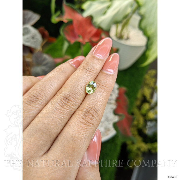 2.02 Ct. Yellowish Green Sapphire from Montana
