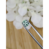1.74 Ct. Green Sapphire from Montana Life Style