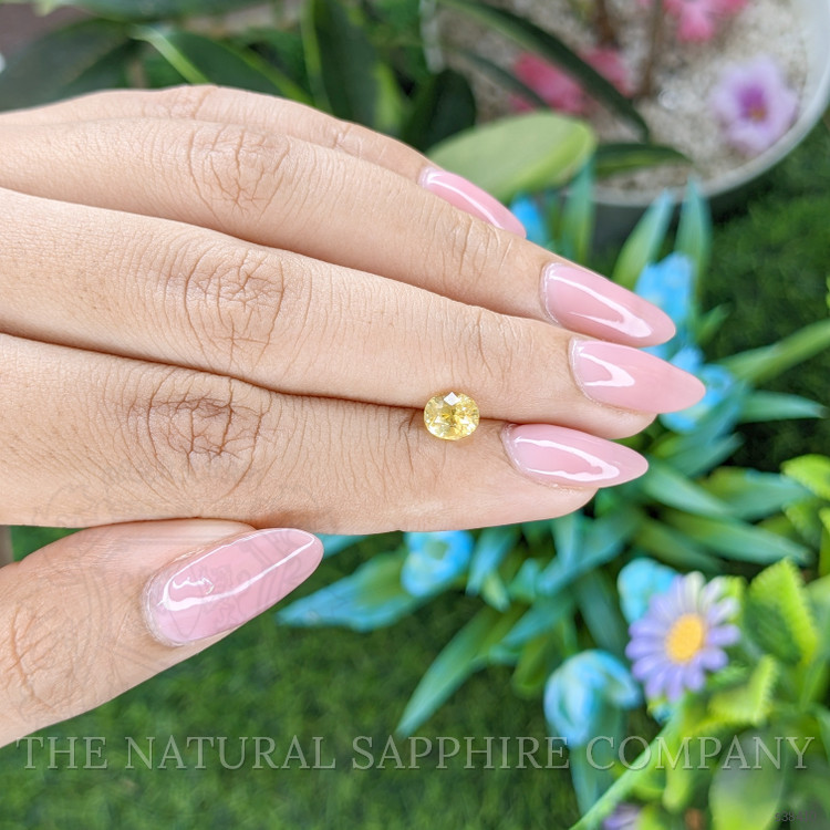 1.15 Ct. Yellow Sapphire from Ceylon (Sri Lanka)