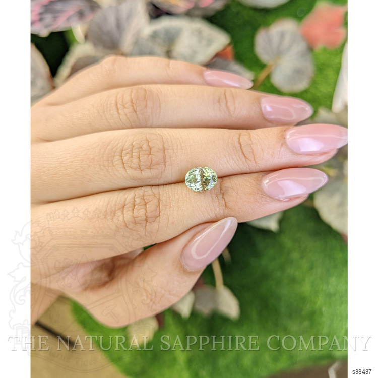 2.20 Ct. Yellowish Green Sapphire from Montana