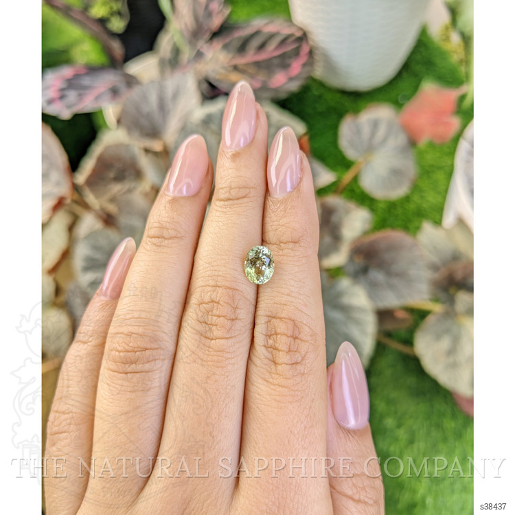 2.20 Ct. Yellowish Green Sapphire from Montana