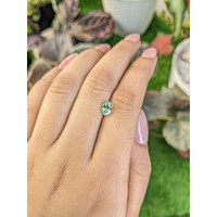 1.08 Ct. Yellowish Green Sapphire from Montana Life Style