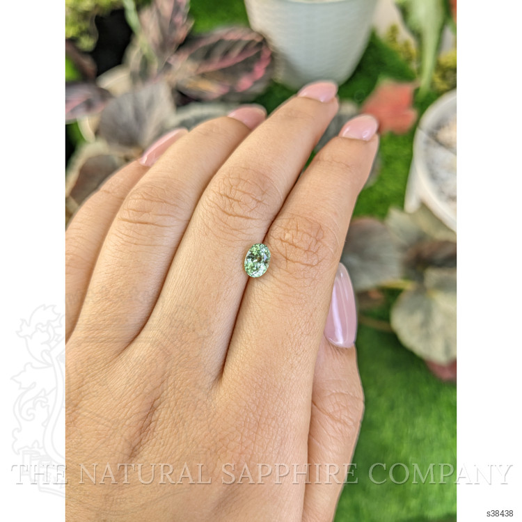 1.08 Ct. Yellowish Green Sapphire from Montana
