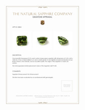 0.93 Ct. Green Sapphire from Ceylon (Sri Lanka) Appraisal