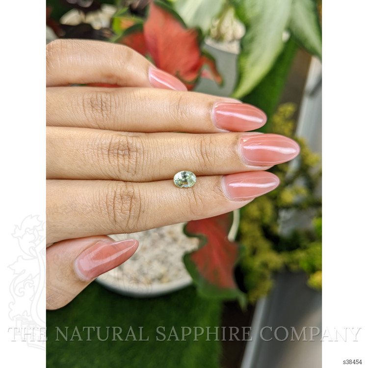 1.24 Ct. Yellowish Green Sapphire from Montana