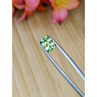 2.97 Ct. Green Sapphire from Montana Life Style