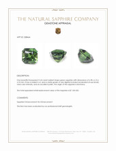 2.64 Ct. Green Sapphire from Montana Appraisal