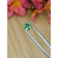 2.64 Ct. Green Sapphire from Montana Life Style