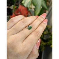 2.64 Ct. Green Sapphire from Montana Life Style
