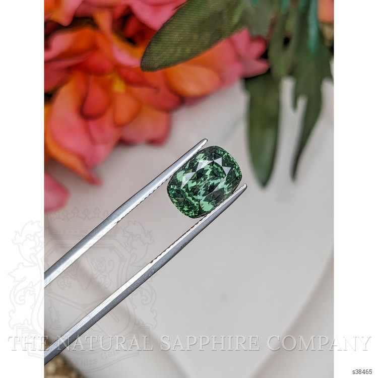 5.91 Ct. Green Sapphire from Montana