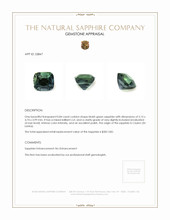 0.84 Ct. Bluish Green Sapphire from Ceylon (Sri Lanka) Appraisal