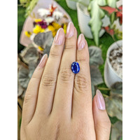 4.10 Ct. Blue Sapphire from Ceylon (Sri Lanka) Life Style
