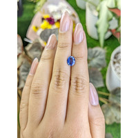 1.49 Ct. Blue Sapphire from Ceylon (Sri Lanka) Life Style