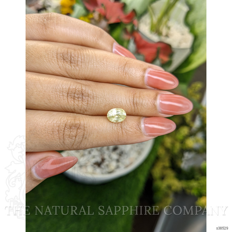 2.54 Ct. Yellow Sapphire from Ceylon (Sri Lanka)