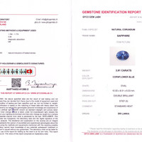 3.91 Ct. Blue Sapphire from Ceylon (Sri Lanka) Scan Report