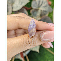 15.20 Ct. Bi Color / Parti Sapphire Crystal from Ceylon (Sri Lanka) Life Style