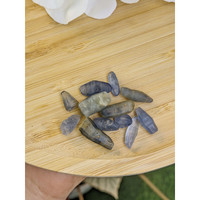 74.75 Ct. Blue Sapphire Crystal from Ceylon (Sri Lanka) Life Style