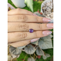 1.72 Ct. Purple Star Sapphire from Ceylon (Sri Lanka) Life Style