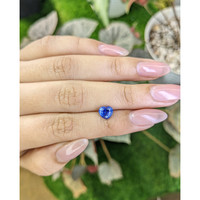 1.66 Ct. Blue Sapphire from Ceylon (Sri Lanka) Life Style