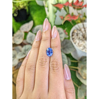 3.65 Ct. Blue Sapphire from Ceylon (Sri Lanka) Life Style