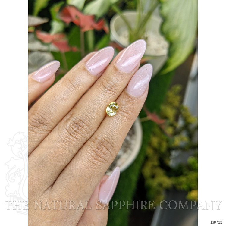 1.58 Ct. Yellow Sapphire from Ceylon (Sri Lanka)
