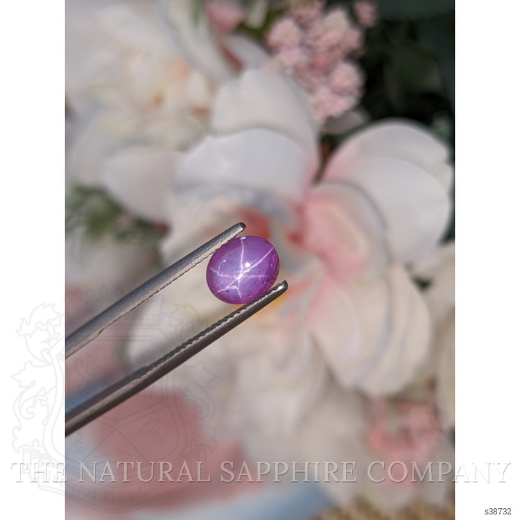 3.12 Ct. Pinkish Purple Star Sapphire from Ceylon (Sri Lanka)