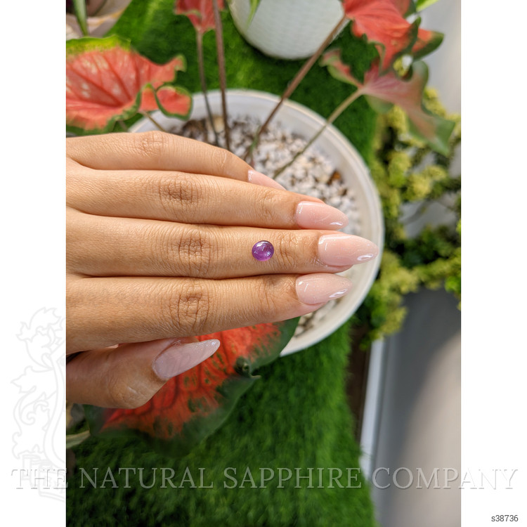 1.54 Ct. Pinkish Purple Star Sapphire from Ceylon (Sri Lanka)