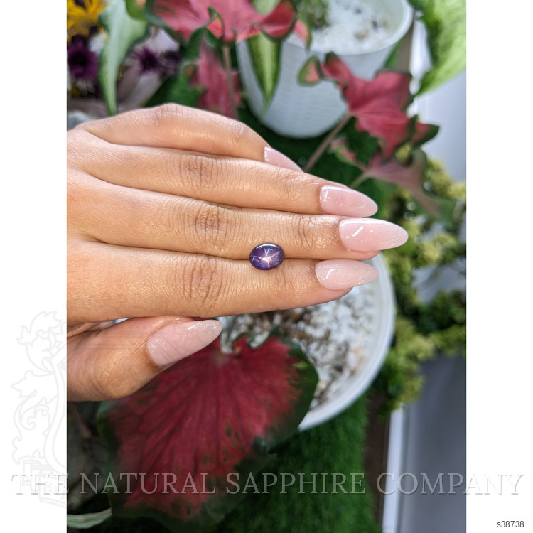 4.15 Ct. Purple Star Sapphire from Ceylon (Sri Lanka)