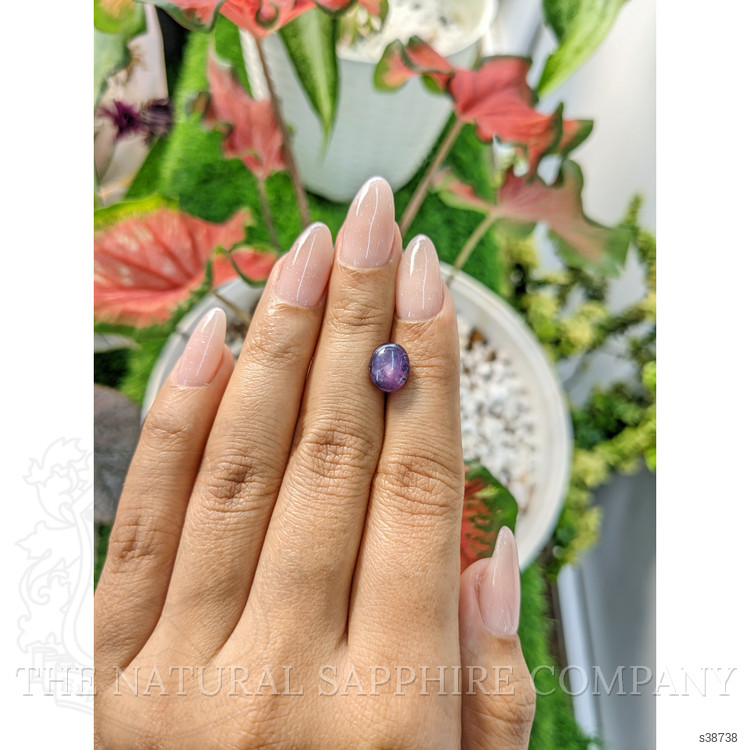 4.15 Ct. Purple Star Sapphire from Ceylon (Sri Lanka)