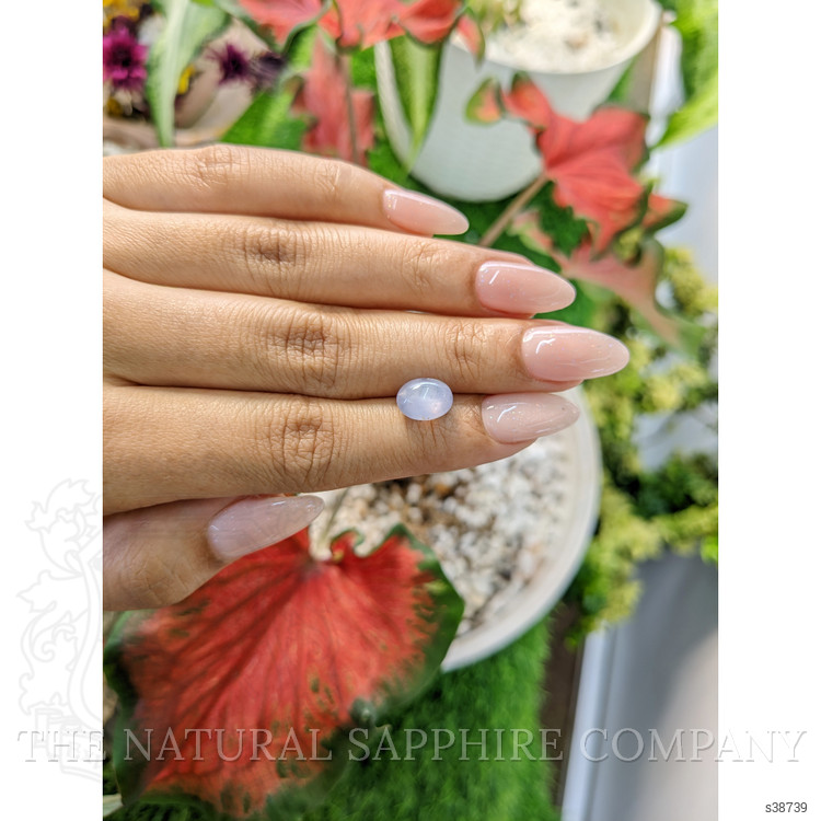 4.74 Ct. Blue Star Sapphire from Ceylon (Sri Lanka)