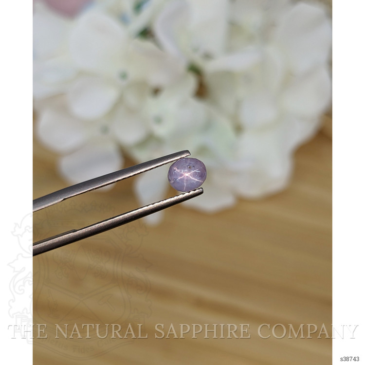 1.41 Ct. Purple Star Sapphire from Ceylon (Sri Lanka)