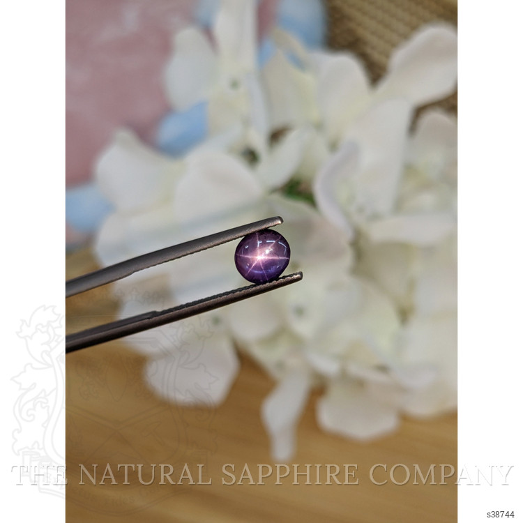 1.86 Ct. Purple Star Sapphire from Ceylon (Sri Lanka)