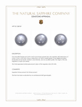 24.93 Ct. Greyish Blue Star Sapphire from Ceylon (Sri Lanka) Appraisal