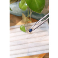 0.50 Ct. Blue Sapphire from Montana Life Style