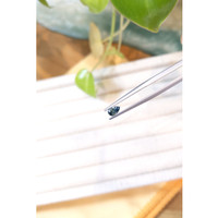 0.36 Ct. Bluish Green Sapphire from Montana Life Style