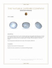 6.91 Ct. Bluish Grey Star Sapphire from Ceylon (Sri Lanka) Appraisal