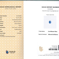 5.64 Ct. Blue Sapphire from Ceylon (Sri Lanka) Scan Report