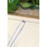 0.50 Ct. Bi Color Sapphire from Montana Life Style