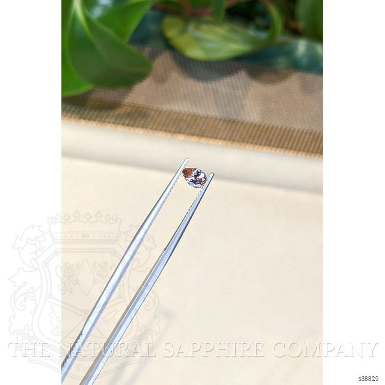 0.50 Ct. Bi Color Sapphire from Montana