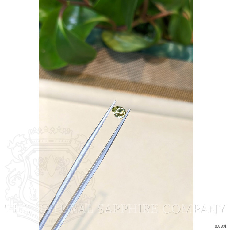 0.64 Ct. Greenish Yellow Sapphire from Montana